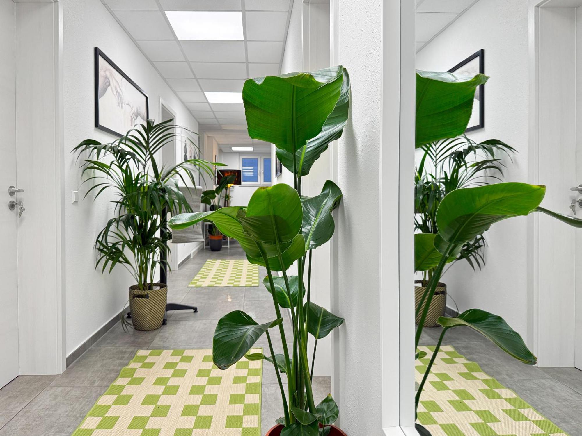 Group Friendly Comfort Central Stuttgart Apartment Eksteriør billede