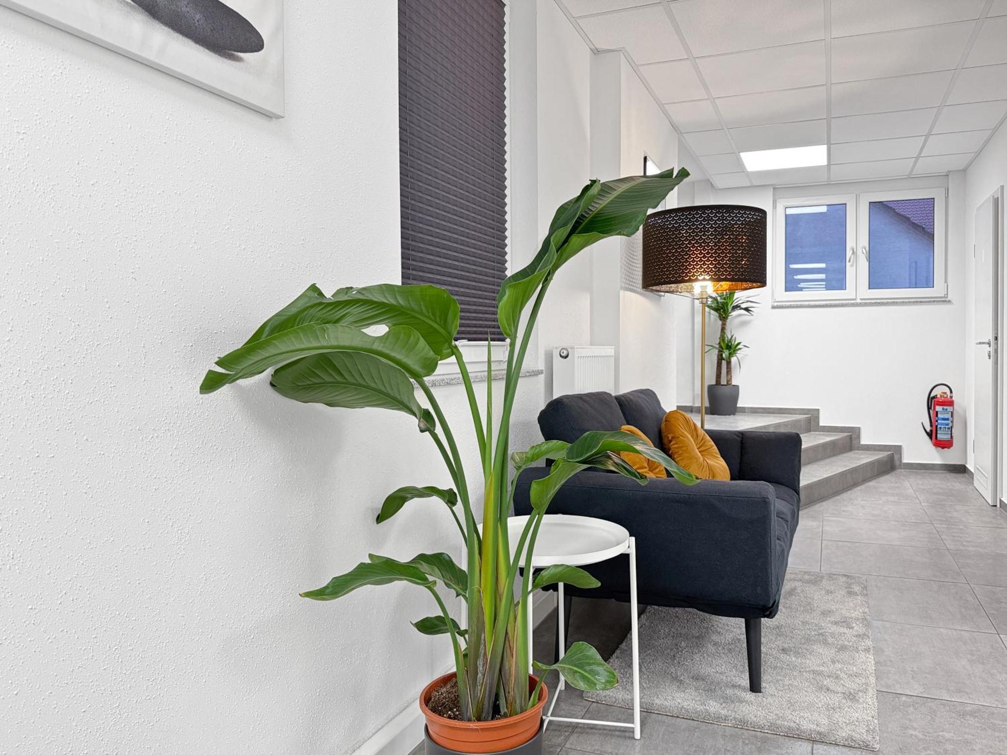 Group Friendly Comfort Central Stuttgart Apartment Eksteriør billede