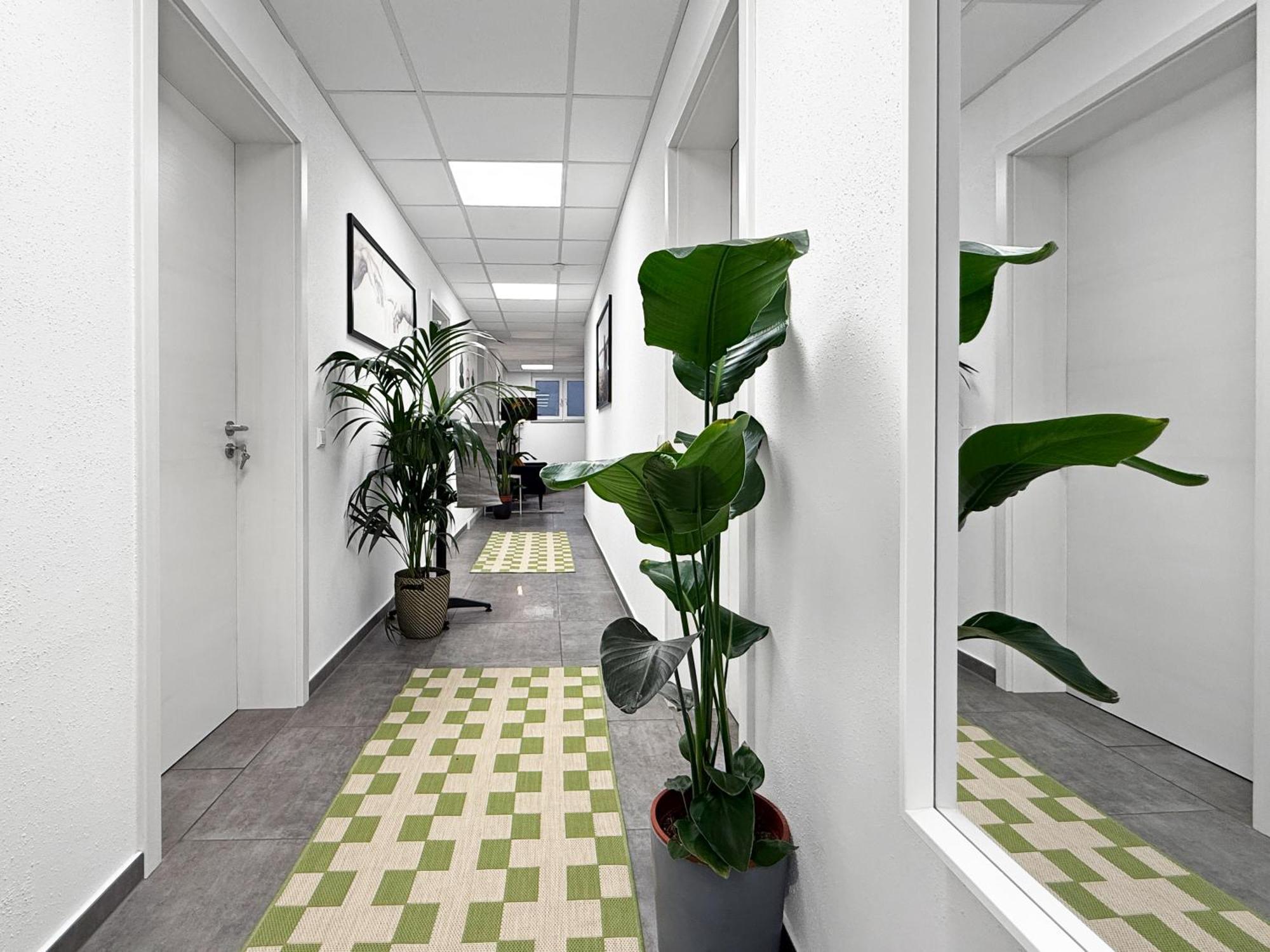 Group Friendly Comfort Central Stuttgart Apartment Eksteriør billede