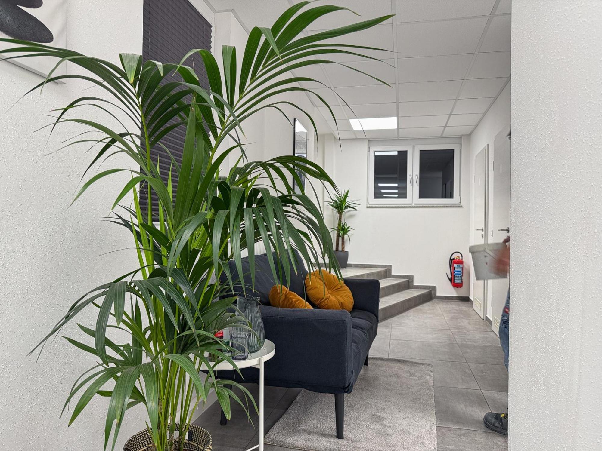 Group Friendly Comfort Central Stuttgart Apartment Eksteriør billede